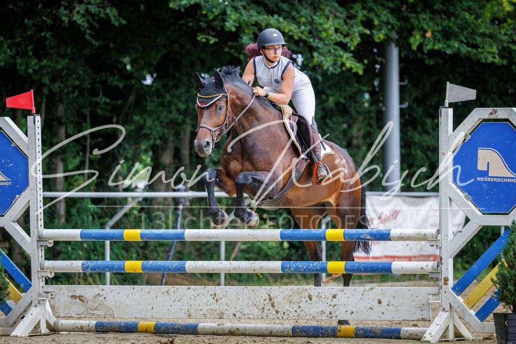 20260705-_3LI5077 | Tierfotografie Pferde, Hunde, Katzen, Haustiere.
Turnierfotografie Reitturniere, Reiten, Springreiten, Dressur in Hanau, dem Main-Kinzig-Kreis und dem Rhein-Main- Gebiet um Frankfurt
