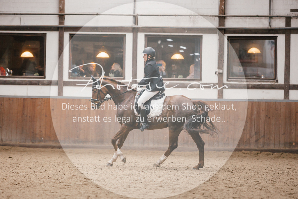 3I6A7913 | Stimmungsvolle Portraits und Reitsportfotografie im Ruhrgebiet und im Münsterland.

Pferdefotografie, Hundefotografie, Tierfotografie, Reportagen, Portraits von Tier und Mensch, Turnierfotografie in Bochum, Recklinghausen, Marl, Haltern am See, Dülmen.. - Realisiert mit Pictrs.com