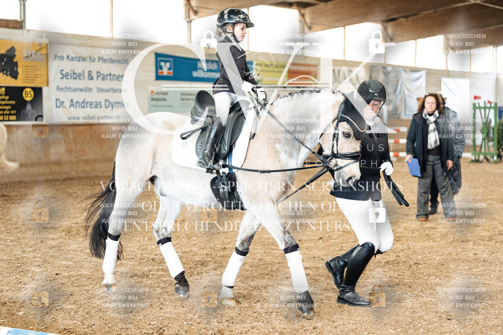 CK905997 | Turnierfotografie Pferdefotografie Trier Rheinland-Pfalz Pferdesport Reitsport Tierfotografie Sportfotografie Pferdevideo Pferdevideografie Equestrianvideography equestrianphotography  - Realisiert mit Pictrs.com