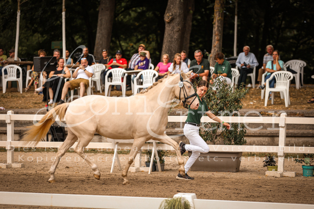 07.So00080 | Leoni Ertmer Photography - Realisiert mit Pictrs.com