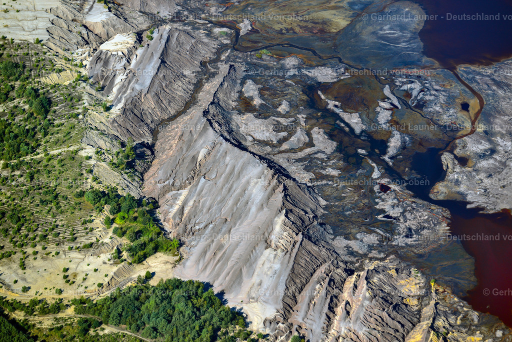 3637039 | BRAUNSBEDRA 08.09.2021 Rekultivierung der ehemaligen Tagebau - Fläche an den Uferbereichen des Sees " Geiseltalsee " in Braunsbedra im Bundesland Sachsen-Anhalt, Deutschland. // Open pit re cultivation on the shores of the lake " Geiseltalsee " in Braunsbedra in the state Saxony-Anhalt, Germany. Foto: Gerhard Launer