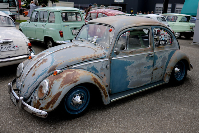 Calag_Oldtimer2025-12 | Ich fotografiere Hundeausstellungen, Sportanlässe, Zuchtstätten, Hundezucht, Hundeportrait, Lagotto - Realisiert mit Pictrs.com