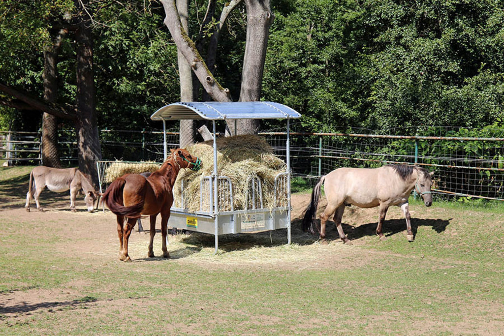 Foto: Leipzig - Haustierfarm im Wildpark Leipzig | Das Team hinter BILDLEXIKON LEIPZIG bündelt historische wie aktuelle Informationen über die Stadt Leipzig in Text und Bild auf einer Plattform und stellt diese der interessierten Öffentlichkeit zur Verfügung.