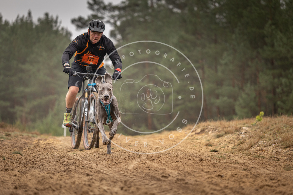 Pfotenfotografie_DV3A3525 | Hundefotografie, Tierfotograf, Pfotenfotografie, Fotoshooting Hund, Hunde Portrait, Hundesport, Hundeportraits, Heideshooting, Hunde, Sportfotograf, Hundefotograf, Turnierhundsport, THS,  - Realisiert mit Pictrs.com