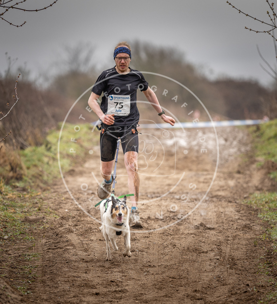 DV3A9730 | Hundefotografie, Tierfotograf, Pfotenfotografie, Fotoshooting Hund, Hunde Portrait, Hundesport, Hundeportraits, Heideshooting, Hunde, Sportfotograf, Hundefotograf, Turnierhundsport, THS,  - Realisiert mit Pictrs.com