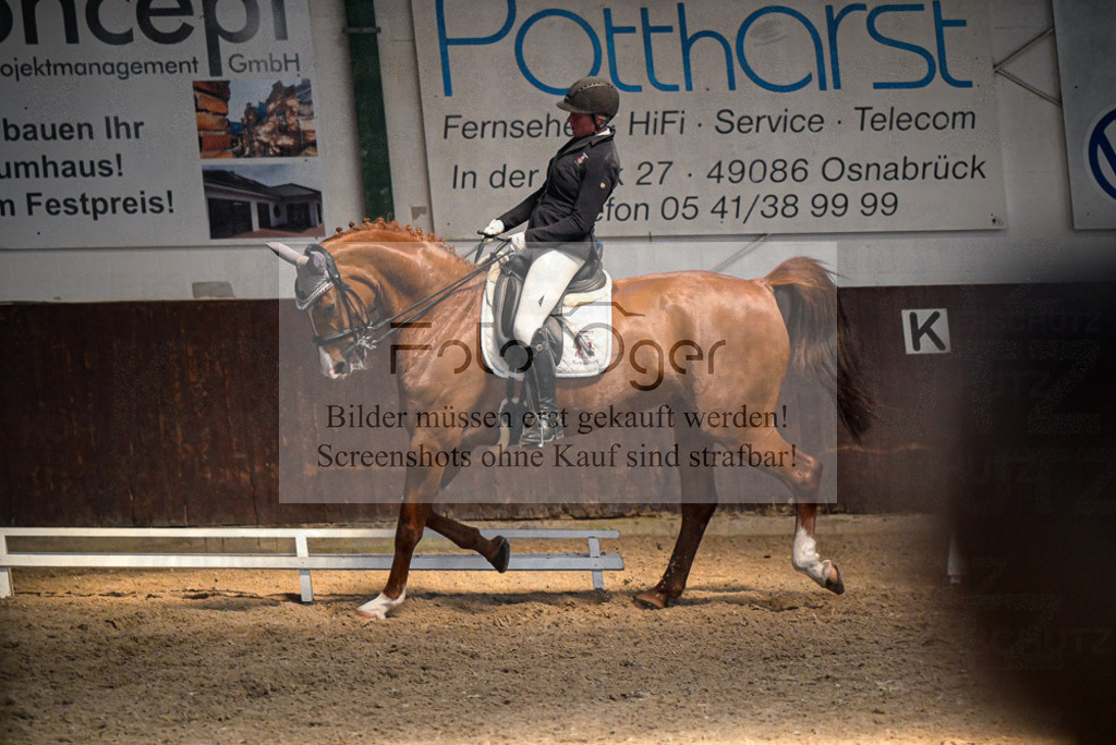 Reitturnier Voxtrup | Entdecke hochwertige Reitturnierfotos von Foto Oger. Professionell, emotional und authentisch – jetzt Lieblingsmomente im Shop bestellen.Deutschlandweite Turnierfotografie. - Realisiert mit Pictrs.com