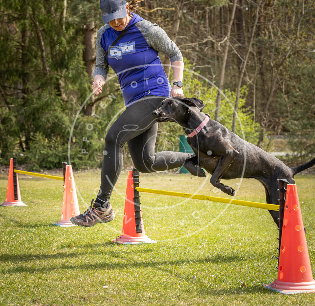 Pfotenfotografie_DV3A6500 | Hundefotografie, Tierfotograf, Pfotenfotografie, Fotoshooting Hund, Hunde Portrait, Hundesport, Hundeportraits, Heideshooting, Hunde, Sportfotograf, Hundefotograf, Turnierhundsport, THS,  - Realisiert mit Pictrs.com