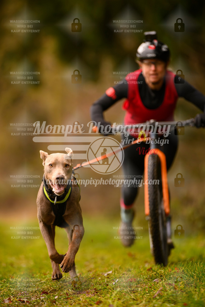 MompixPhotography_2SSTSSBW_2025_SO_Scooter-33 | PayLife