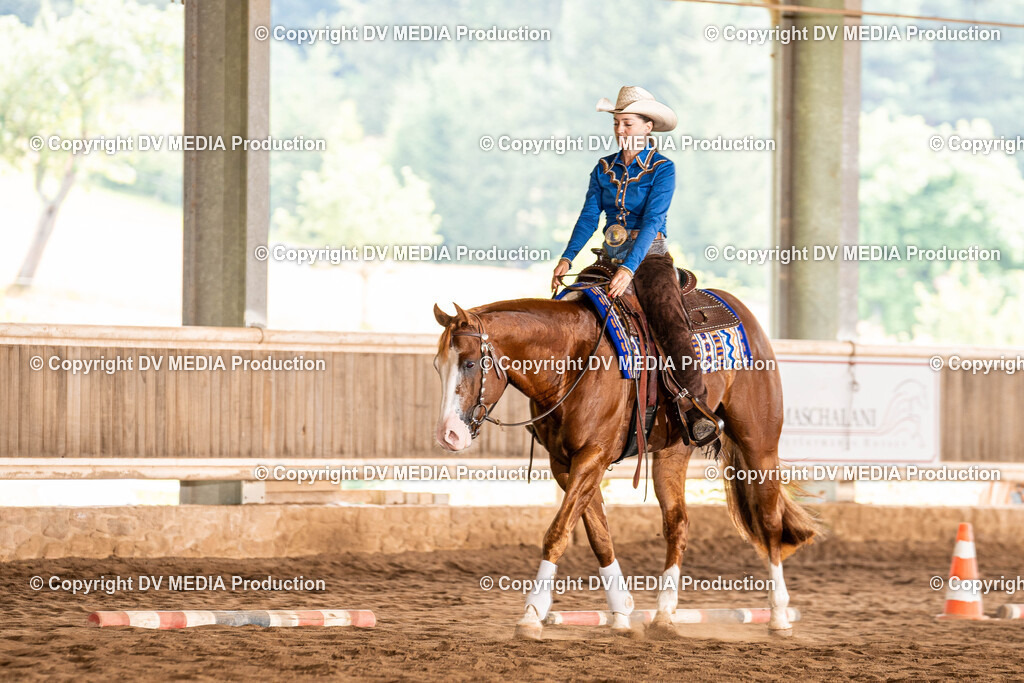 Erbach Tag 1-250 | dv-media-shop - Realisiert mit Pictrs.com