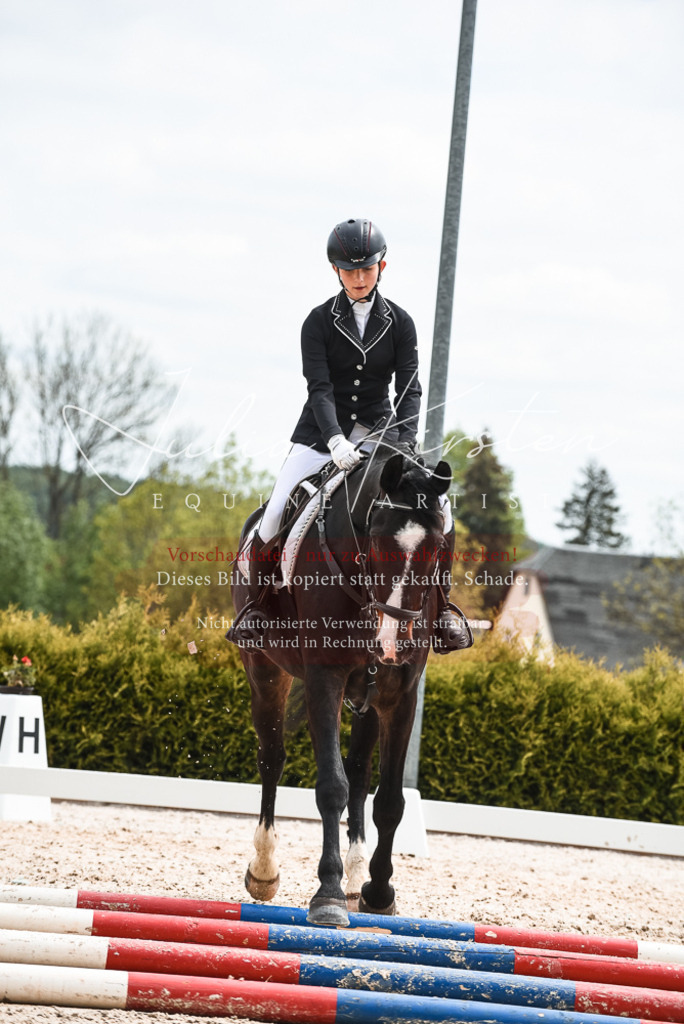 20230518_JK-Röhrsdorf-10-822 | Pferde- und Turnierfotografie in Westsachsen. Pferdeportraits, Auftragszeichnungen und intuitive Kunst.