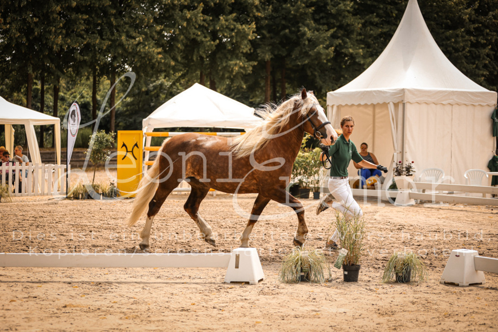 5.Sa00030 | Leoni Ertmer Photography - Realisiert mit Pictrs.com