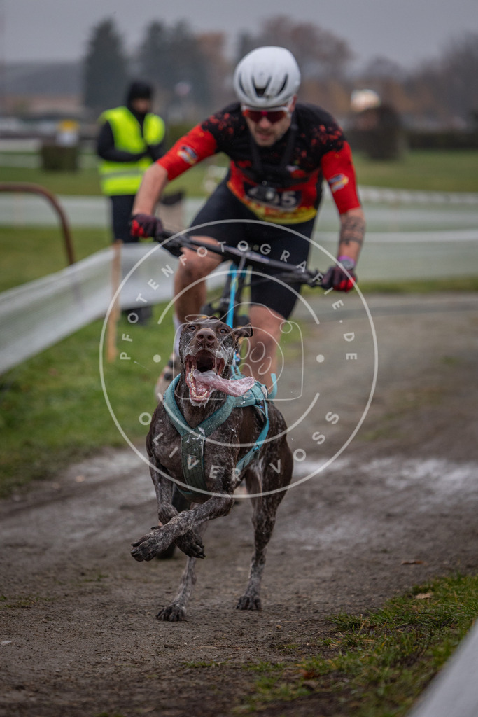 CaniXpix_0L8A1000 | Hundefotografie, Tierfotograf, Pfotenfotografie, Fotoshooting Hund, Hunde Portrait, Hundesport, Hundeportraits, Heideshooting, Hunde, Sportfotograf, Hundefotograf, Turnierhundsport, THS,  - Realisiert mit Pictrs.com