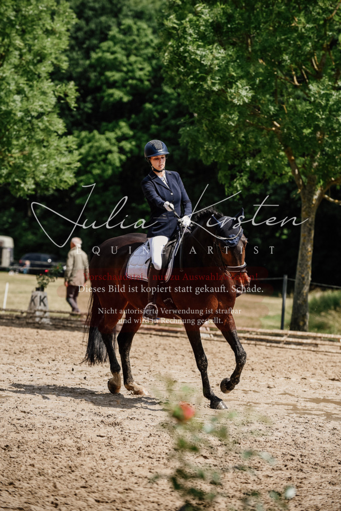 DSC_1457 | Pferde- und Turnierfotografie in Westsachsen. Pferdeportraits, Auftragszeichnungen und intuitive Kunst.