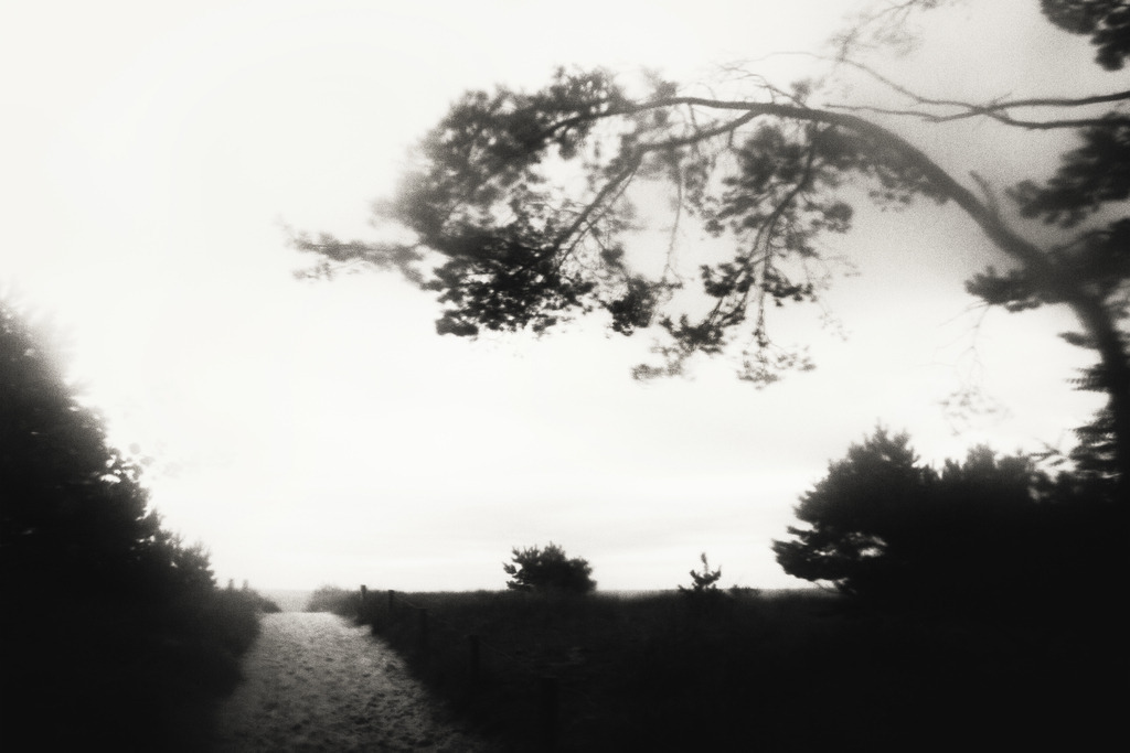 2016.07.31_IMG_8240_1 | Stimmungsvolle Fotografien von Dorit Fuhg. Kaufen Sie bequem hochwertige Fine-Art Drucke, Wandbilder und Kalender hier im Online-Shop. - Realisiert mit Pictrs.com