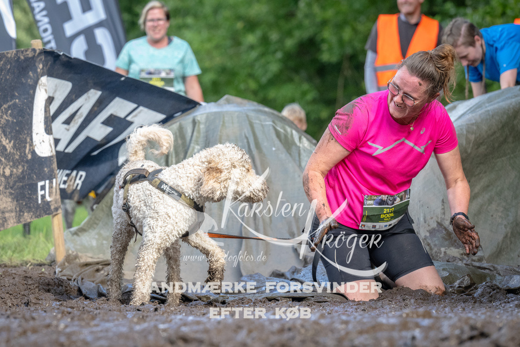 1715_ZZ91761 | kk-dogfotos