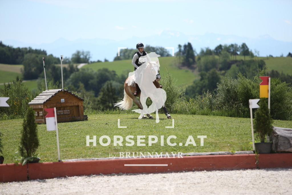 PP014706 | Willkommen bei Brunnmayr - Design & Fotografie – Ihrem Spezialisten für Reitturniere und Pferdeveranstaltungen in Oberösterreich, Salzburg und Bayern! Seit über 17 Jahren sind wir leidenschaftlich dabei.
