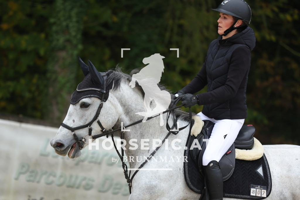 0P6A0508 | Willkommen bei Brunnmayr - Design & Fotografie – Ihrem Spezialisten für Reitturniere und Pferdeveranstaltungen in Oberösterreich, Salzburg und Bayern! Seit über 17 Jahren sind wir leidenschaftlich dabei.