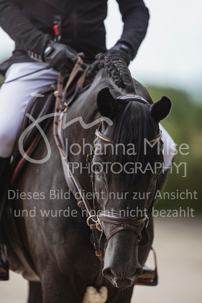 240614_Lemwerder_M2-Springen-416 | Deine schönsten Turniermomente als professionelle Fotos! Entdecke hochwertige Pferdesport-Fotografie im Online-Shop. Jetzt Fotos finden & bestellen!