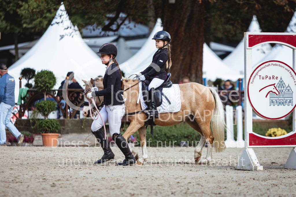 240915_OWLCh_FuehrzuegelWB-676 | Deine schönsten Turniermomente als professionelle Fotos! Entdecke hochwertige Pferdesport-Fotografie im Online-Shop. Jetzt Fotos finden & bestellen!