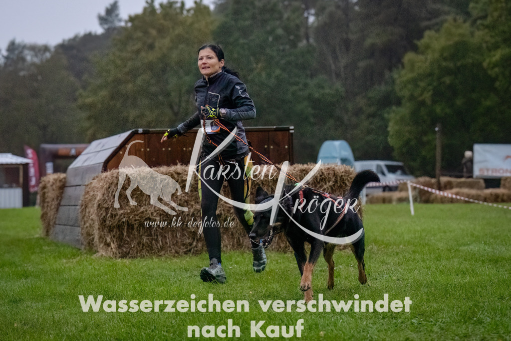 0810-_ZZ90560-Bearbeitet-Bearbeitet | kk-dogfotos