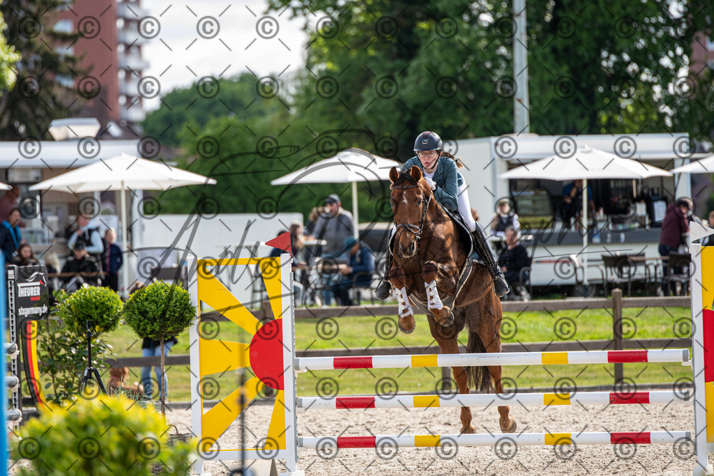 KPT_4798 | andre_photographic