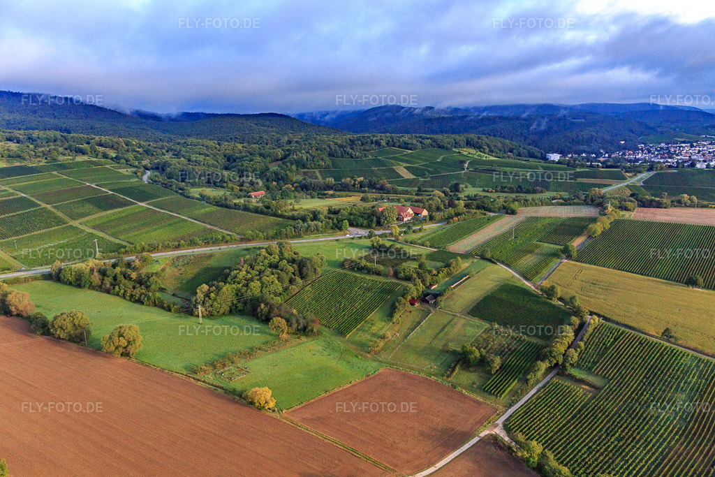 Luftbild: B38 in Dörrenbach im Bundesland Rheinland-Pfalz in Deutschland. Foto: IMG_103282.jpg vom 10.09.2017 durch Werner Riehm/FLY-FOTO.de