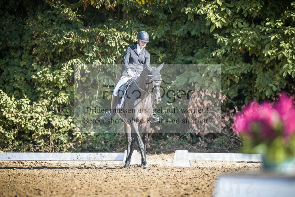 DOS_1554 | Entdecke hochwertige Reitturnierfotos von Foto Oger. Professionell, emotional und authentisch – jetzt Lieblingsmomente im Shop bestellen.Deutschlandweite Turnierfotografie. - Realisiert mit Pictrs.com
