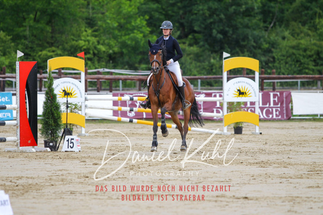 DKP41758 | Turniersportfotografie; Pferdefotografie; Dressurfotografie