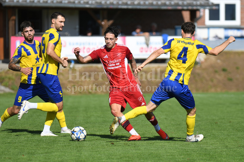 TSV Seebach : SV Wenzenbach | Michael Dietl (TSV Seebach #11) - Realisiert mit Pictrs.com