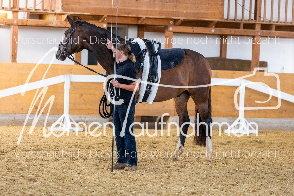 VTD-Voltigierpferde-072 | MomenTaufnahmen Pferdesportfotos