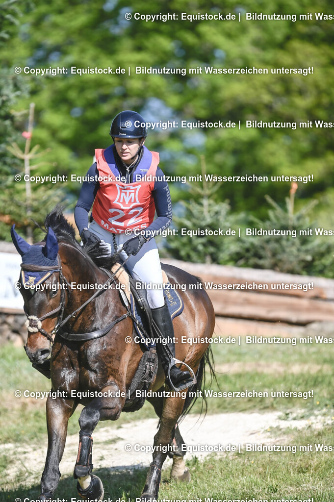 20250517_CCI2_Gelände_0621 | Foto: Thomas Hartig