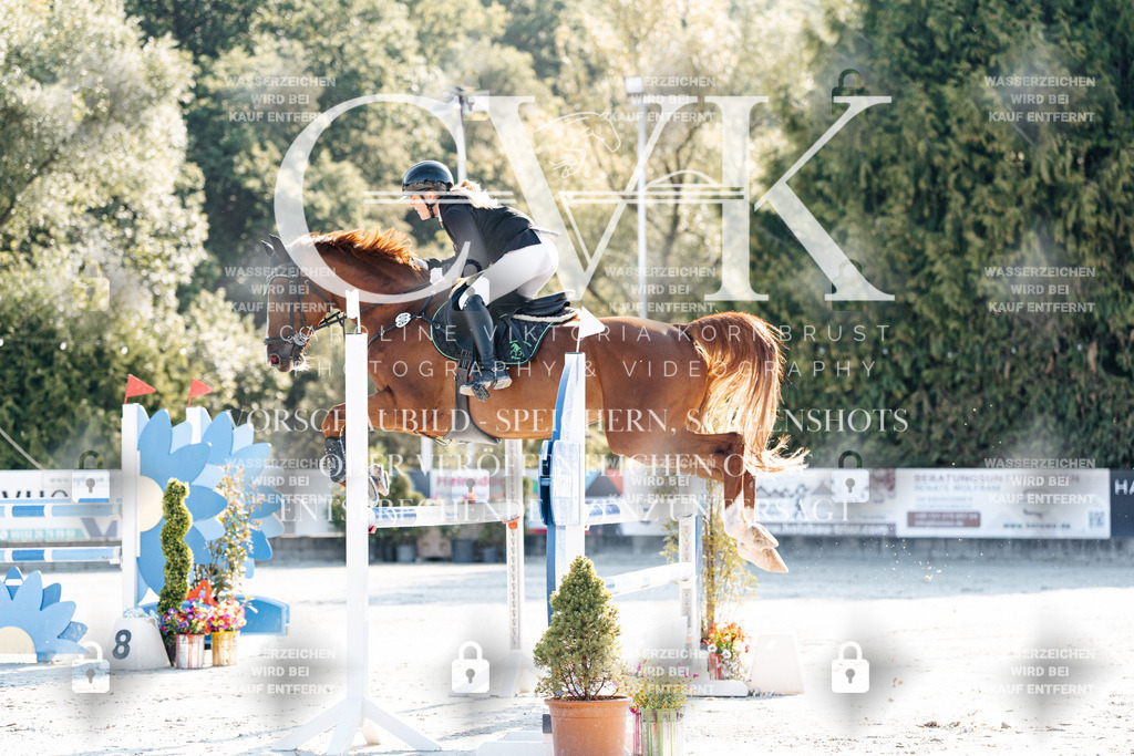 CK901555 | Turnierfotografie Pferdefotografie Trier Rheinland-Pfalz Pferdesport Reitsport Tierfotografie Sportfotografie Pferdevideo Pferdevideografie Equestrianvideography equestrianphotography  - Realisiert mit Pictrs.com