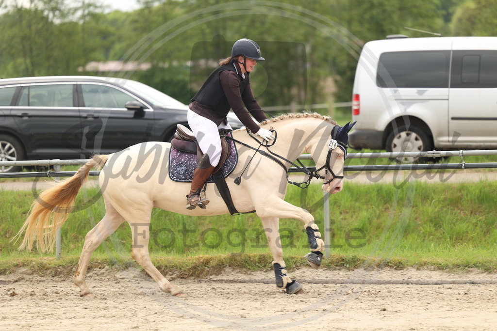 994A8924 | sabrinanicolaifotografie - Realisiert mit Pictrs.com