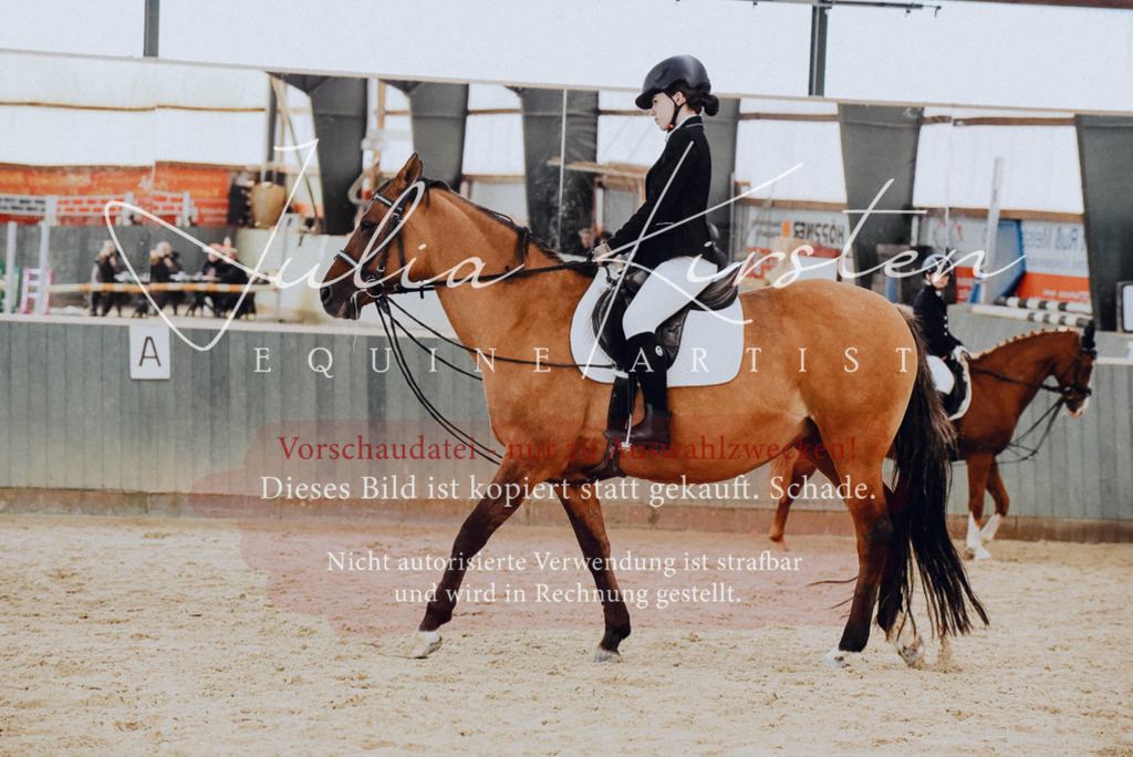 DSC_7282 | Pferde- und Turnierfotografie in Westsachsen. Pferdeportraits, Auftragszeichnungen und intuitive Kunst.