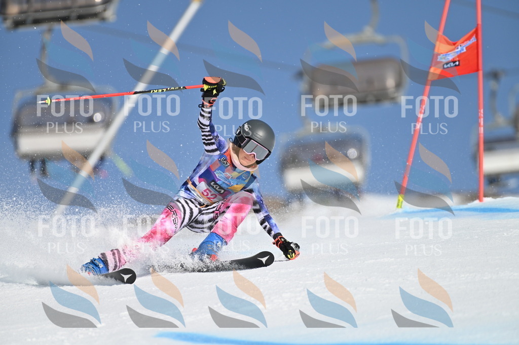 BGV_8566 | holidayphoto