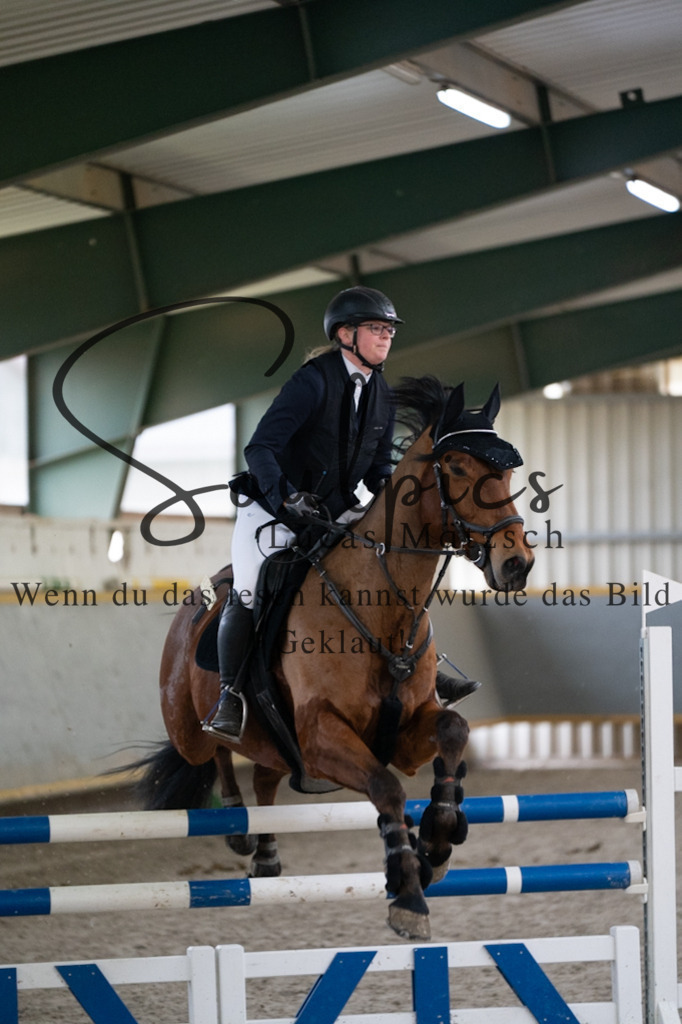 A7V07362 | Pferdefotograf