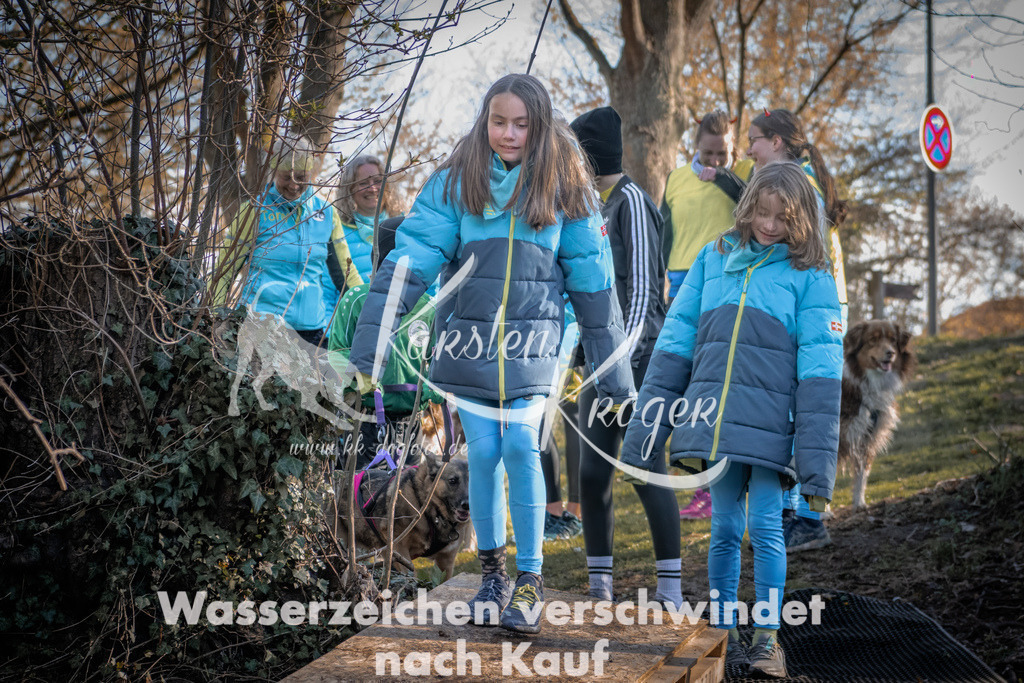 0827_ZZ90823 | kk-dogfotos