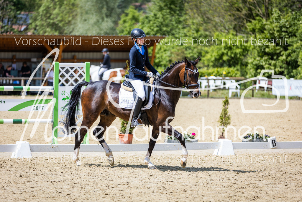 Donop24-EDre-023 | MomenTaufnahmen Pferdesportfotos