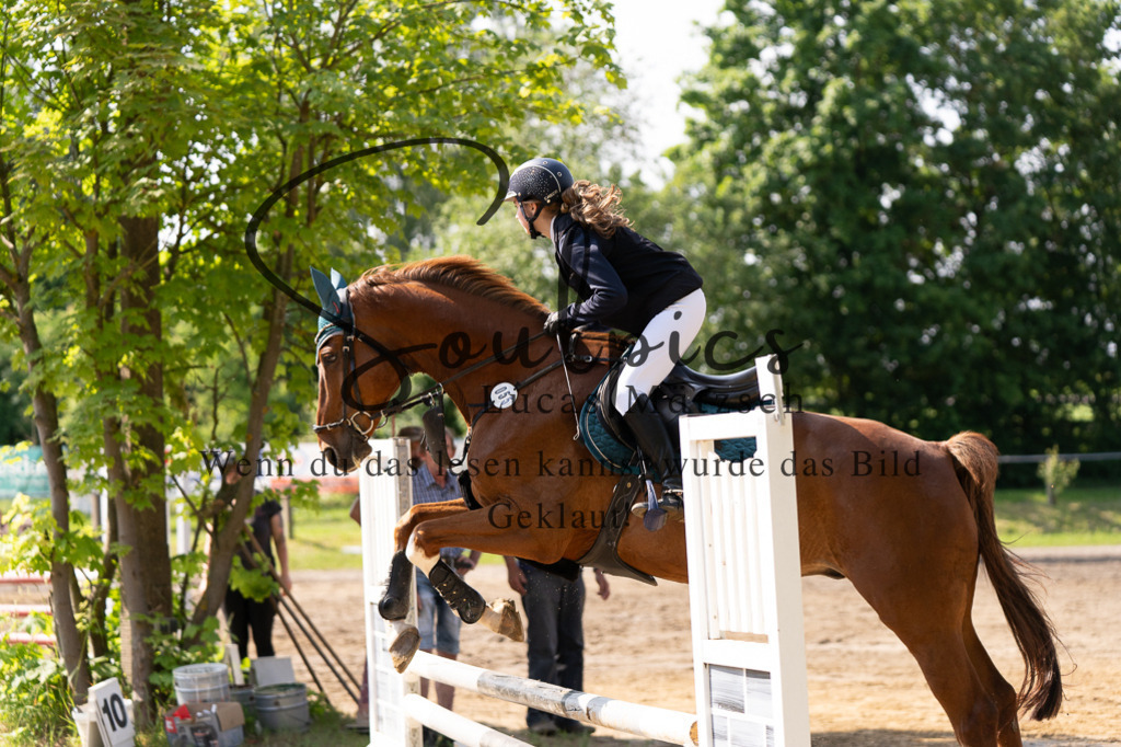 A7507354 | Turnier/Reitfotograf