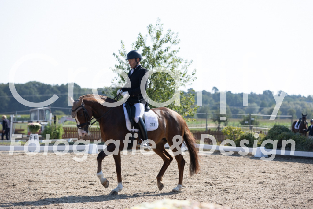 IMG_3390 | Creatify Fotografie