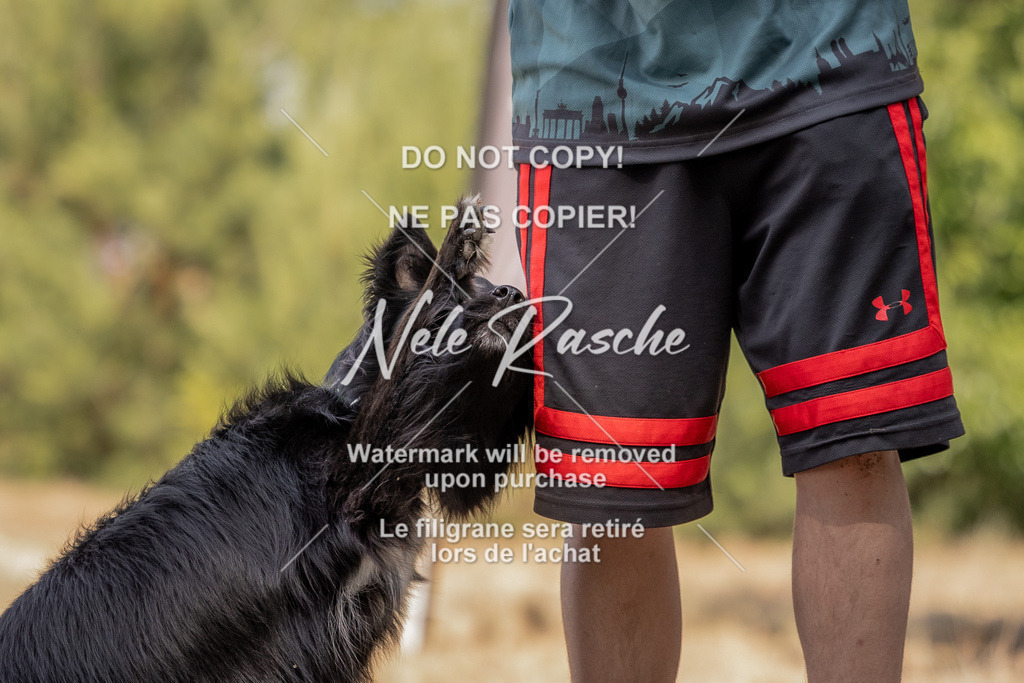 nelerasche_soDD2_329 | nelerasche