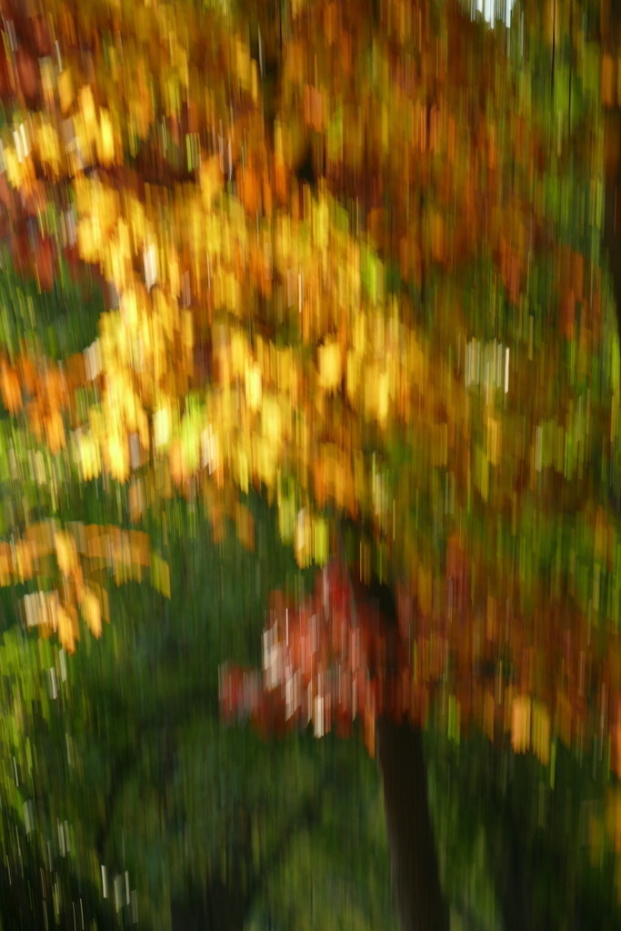 P4020051 | Annaeherungen - Realisiert mit Pictrs.com