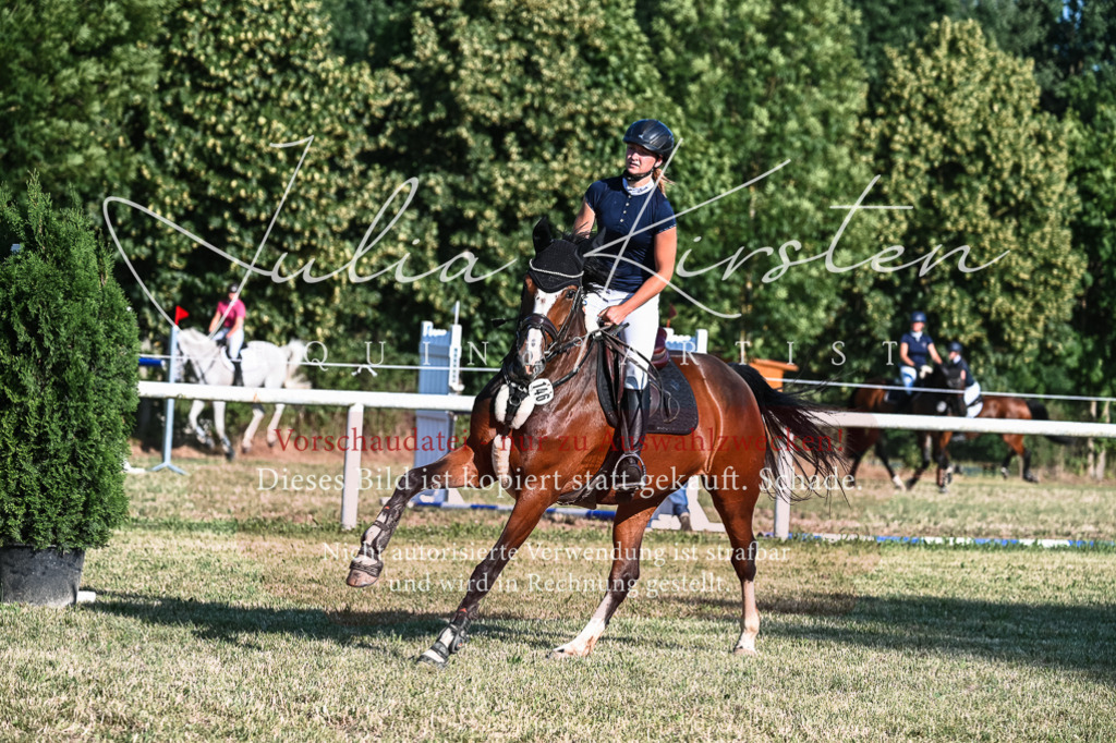 DSC_2874 | Pferde- und Turnierfotografie in Westsachsen. Pferdeportraits, Auftragszeichnungen und intuitive Kunst.