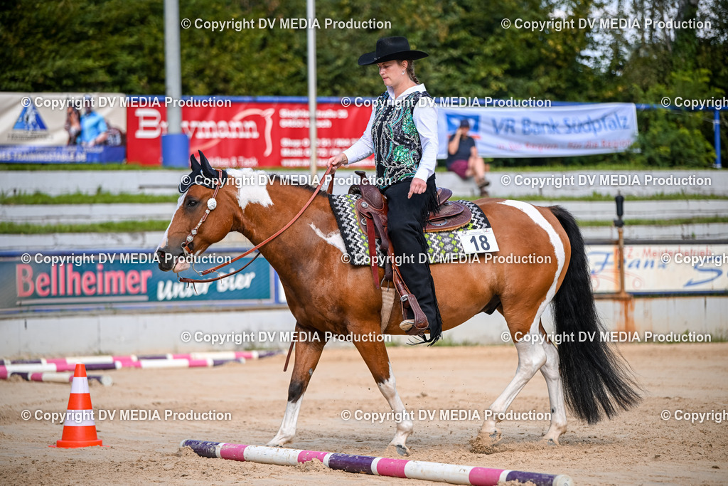 ZS2_3417 | dv-media-shop - Realisiert mit Pictrs.com