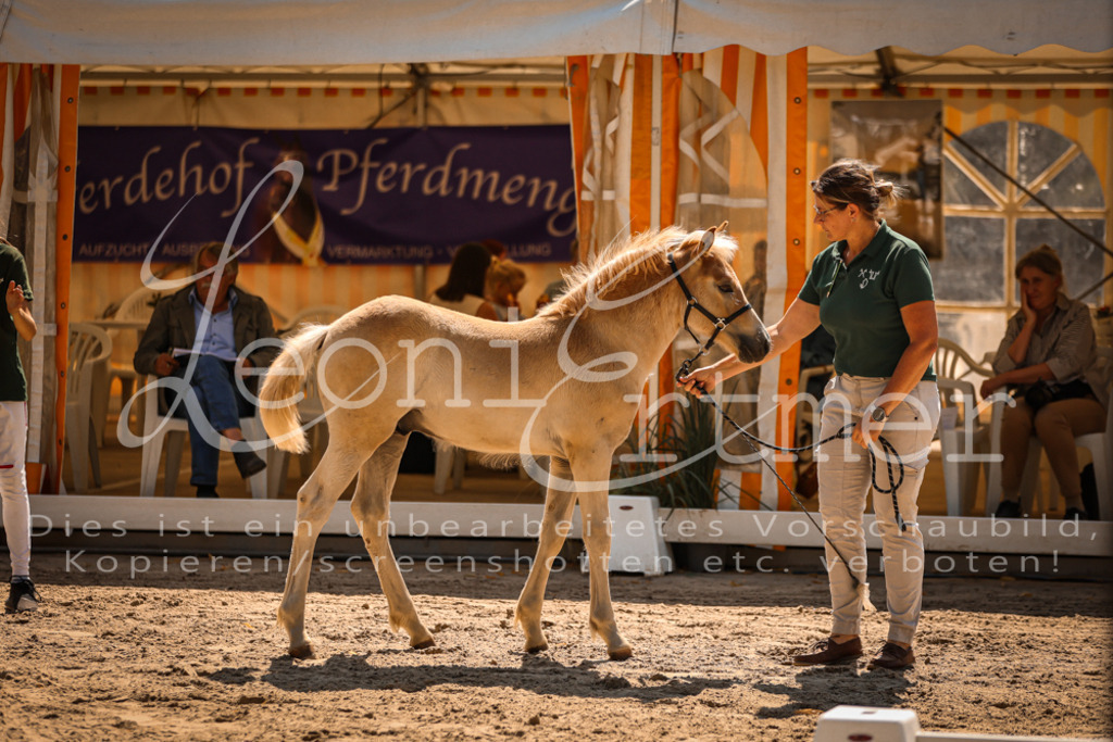 06.DoH00076 | Leoni Ertmer Photography - Realisiert mit Pictrs.com