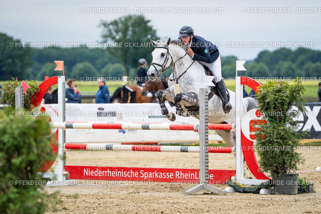 DSC04808 | Pferdegrafie