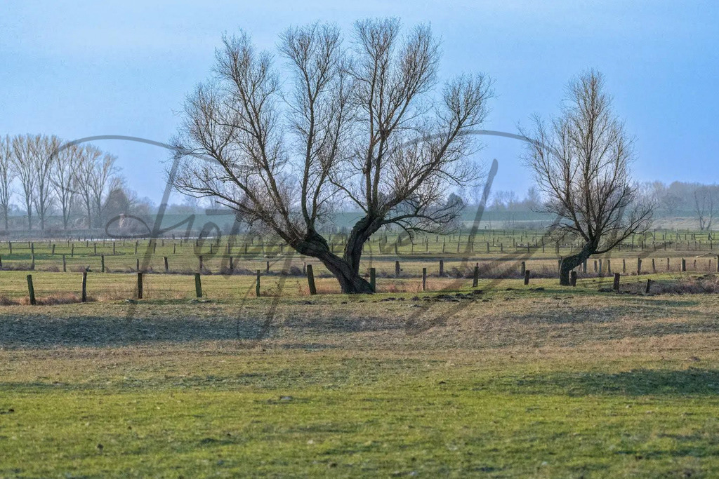 Bilder Homepage-7 | fotografie-derks - Realisiert mit Pictrs.com