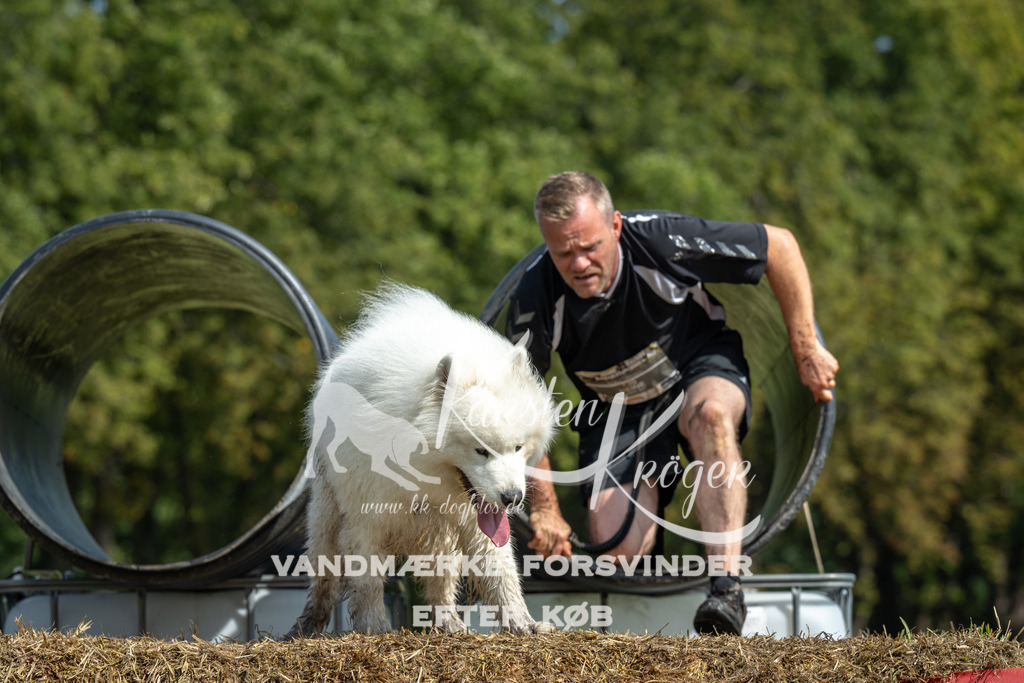 1314_ZZ92749 | kk-dogfotos