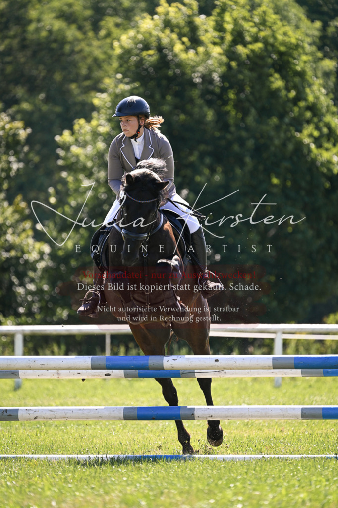 DSC_8793 | Pferde- und Turnierfotografie in Westsachsen. Pferdeportraits, Auftragszeichnungen und intuitive Kunst.