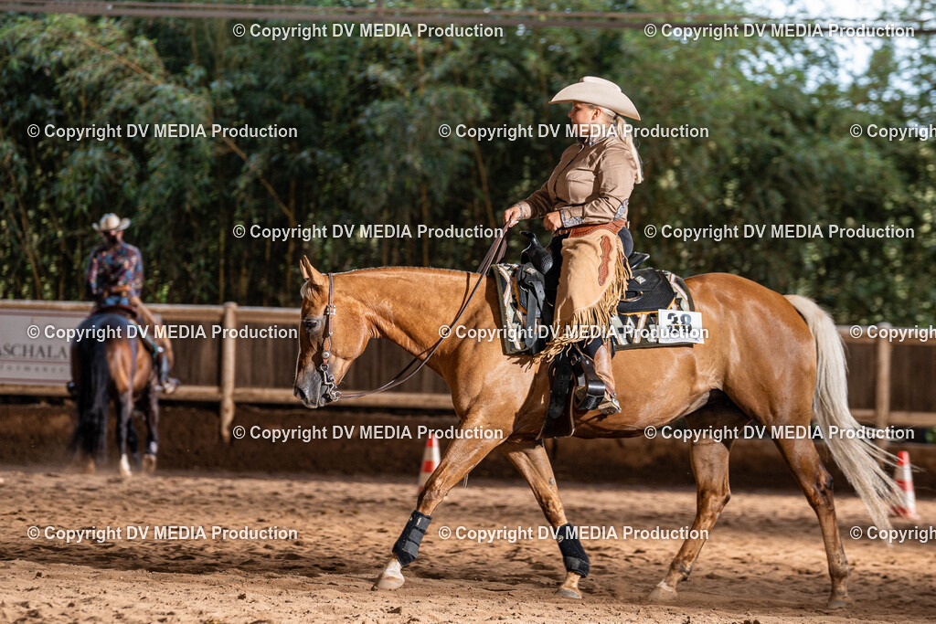 Erbach Tag 1-1125 | dv-media-shop - Realisiert mit Pictrs.com